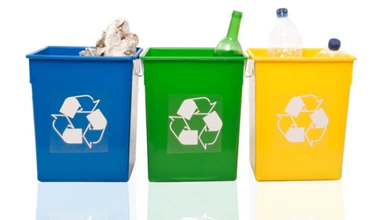 Ответственность муниципалитетов за отсутствие раздельного сбора отходов